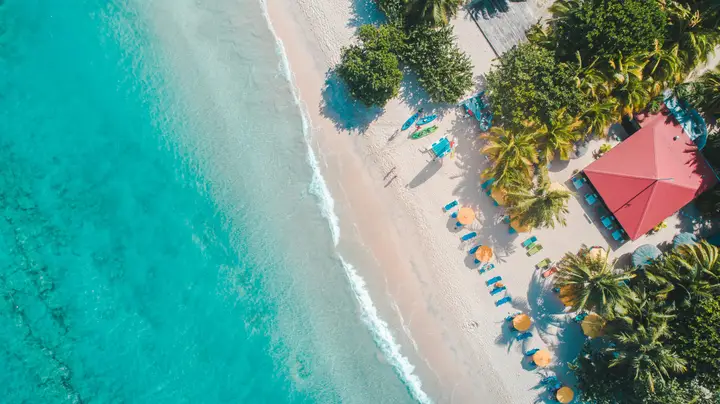 Blissful Venture photo — Travel & Recreation Service