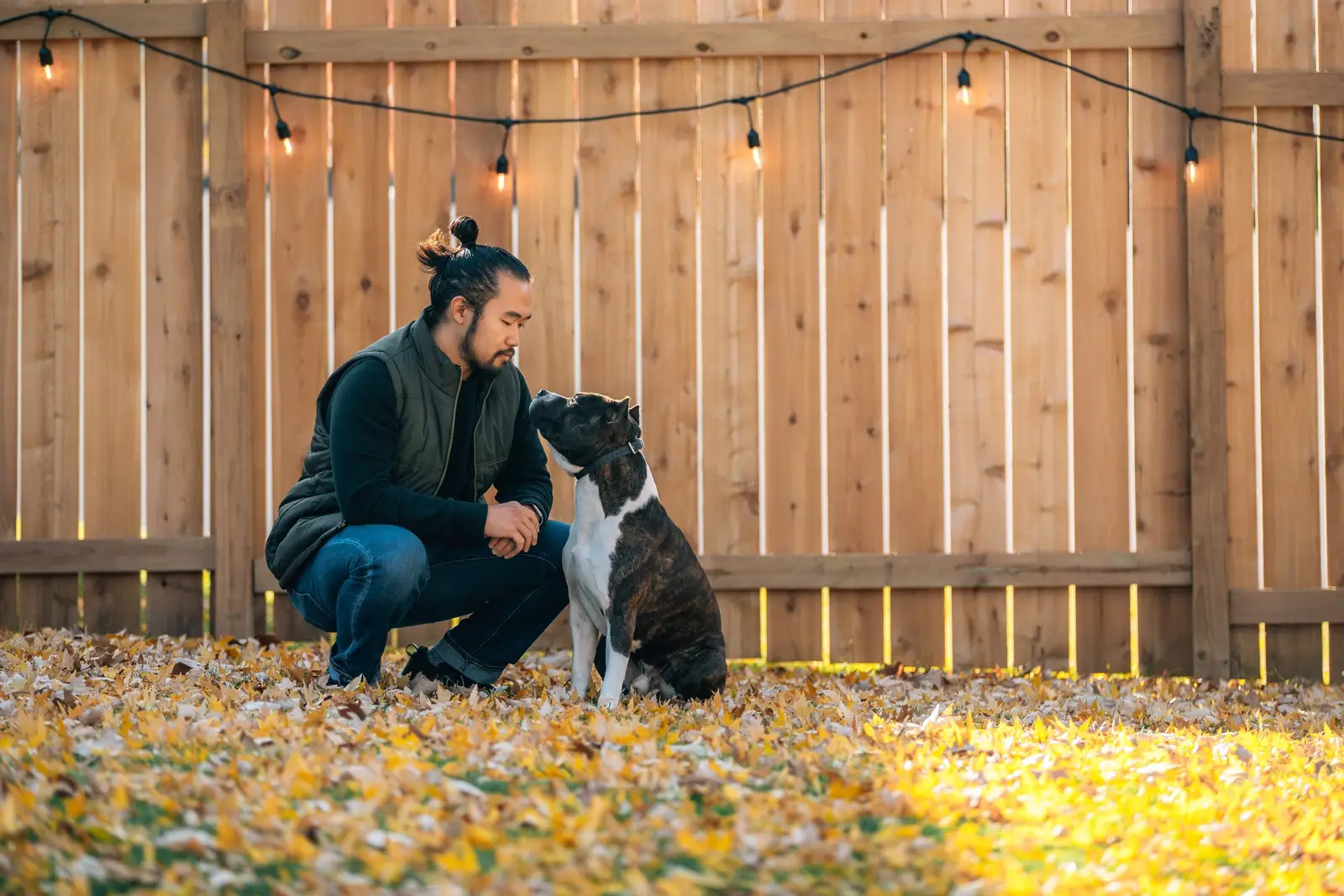 Canine Chris Dog Training, Home Service