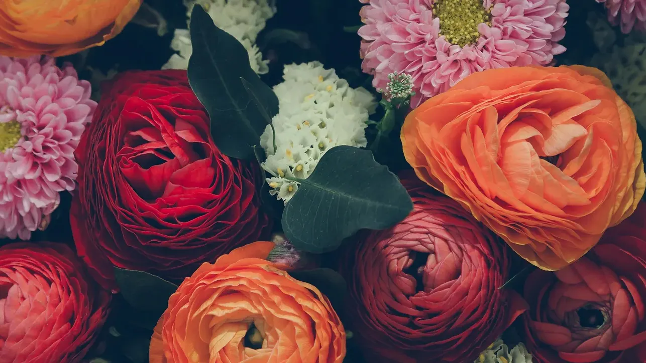 C&K's Flower Garden photo, Event & Wedding Service