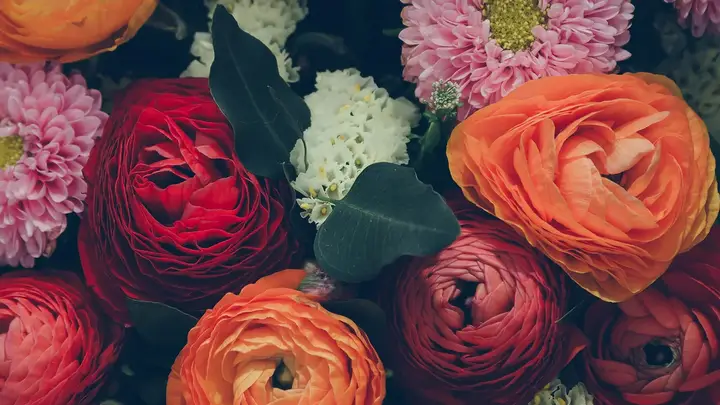 C&K's Flower Garden photo — Event & Wedding Service