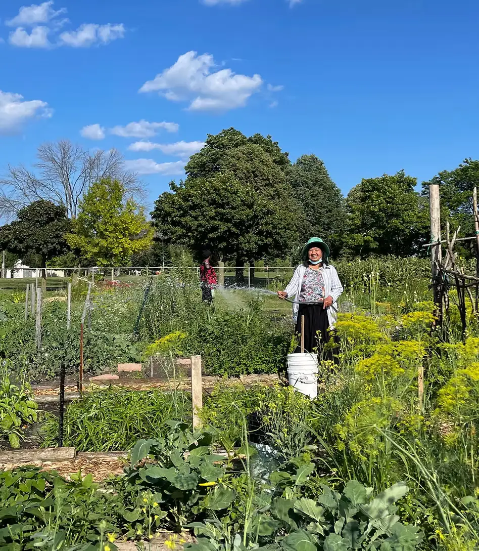 Go Farm Connect photo, Grocery Store