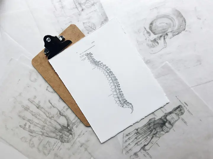 LOR Chiropractic Clinic photo — Chiropractor