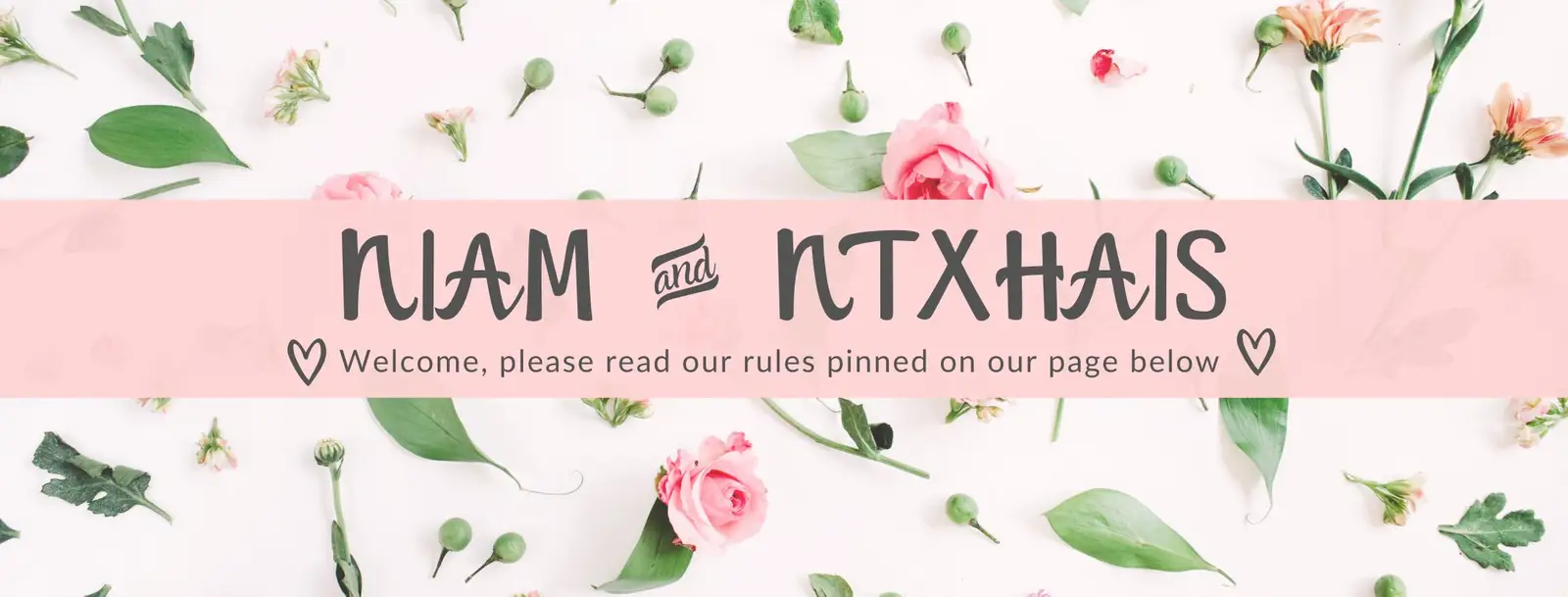 Niam & Ntxhais photo, Retail Shop