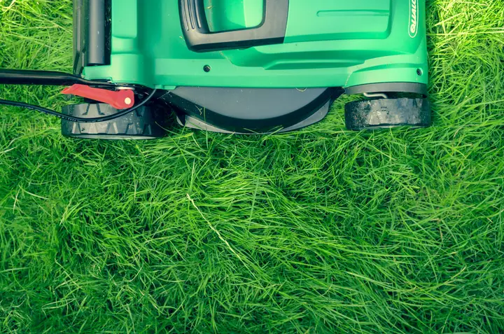 Prime Lawn Services photo — Home Service
