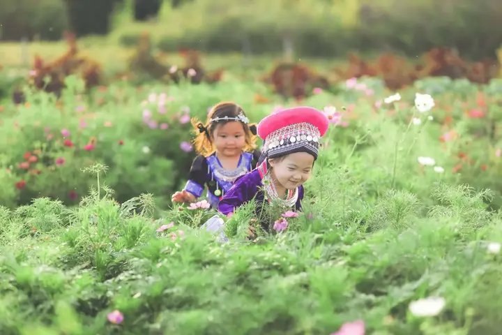 Rainbow Garden Farm photo — Grocery Store