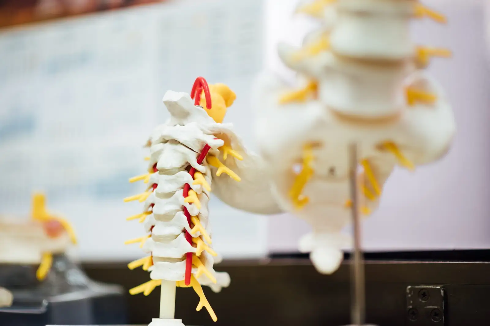 Spinal Health photo, Chiropractor