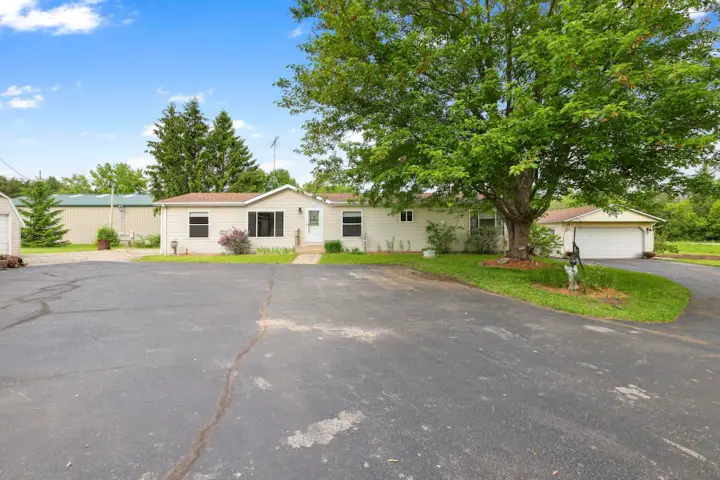 Ton Vang, Realtor photo — Real Estate Agent