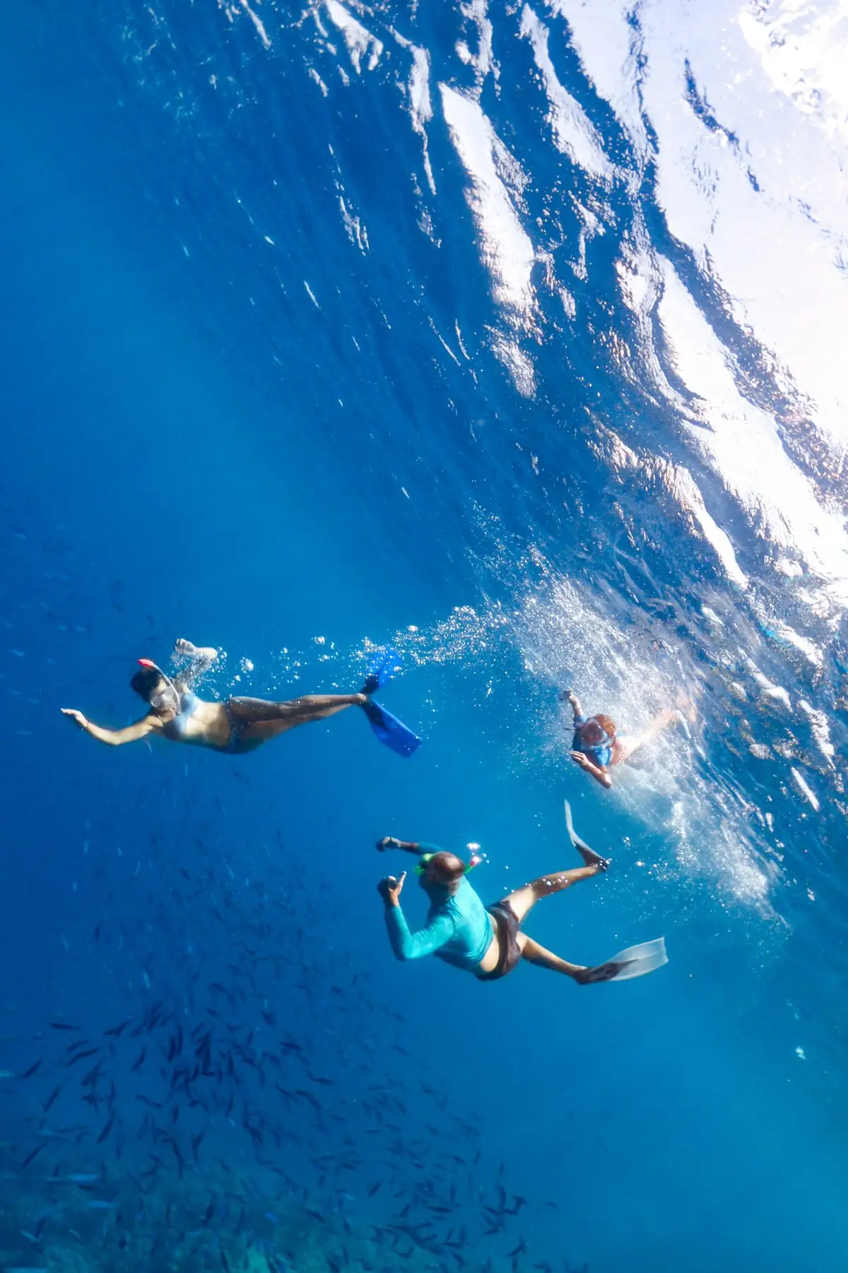 Diamond Head Cruises photo, Travel & Recreation Service